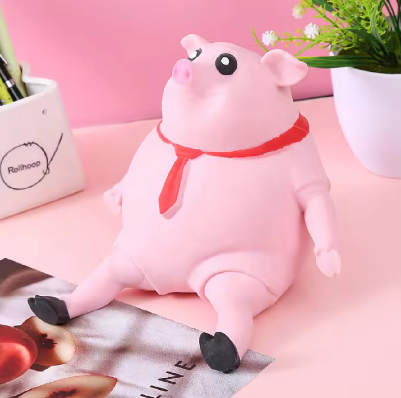 Squishy Piggy
