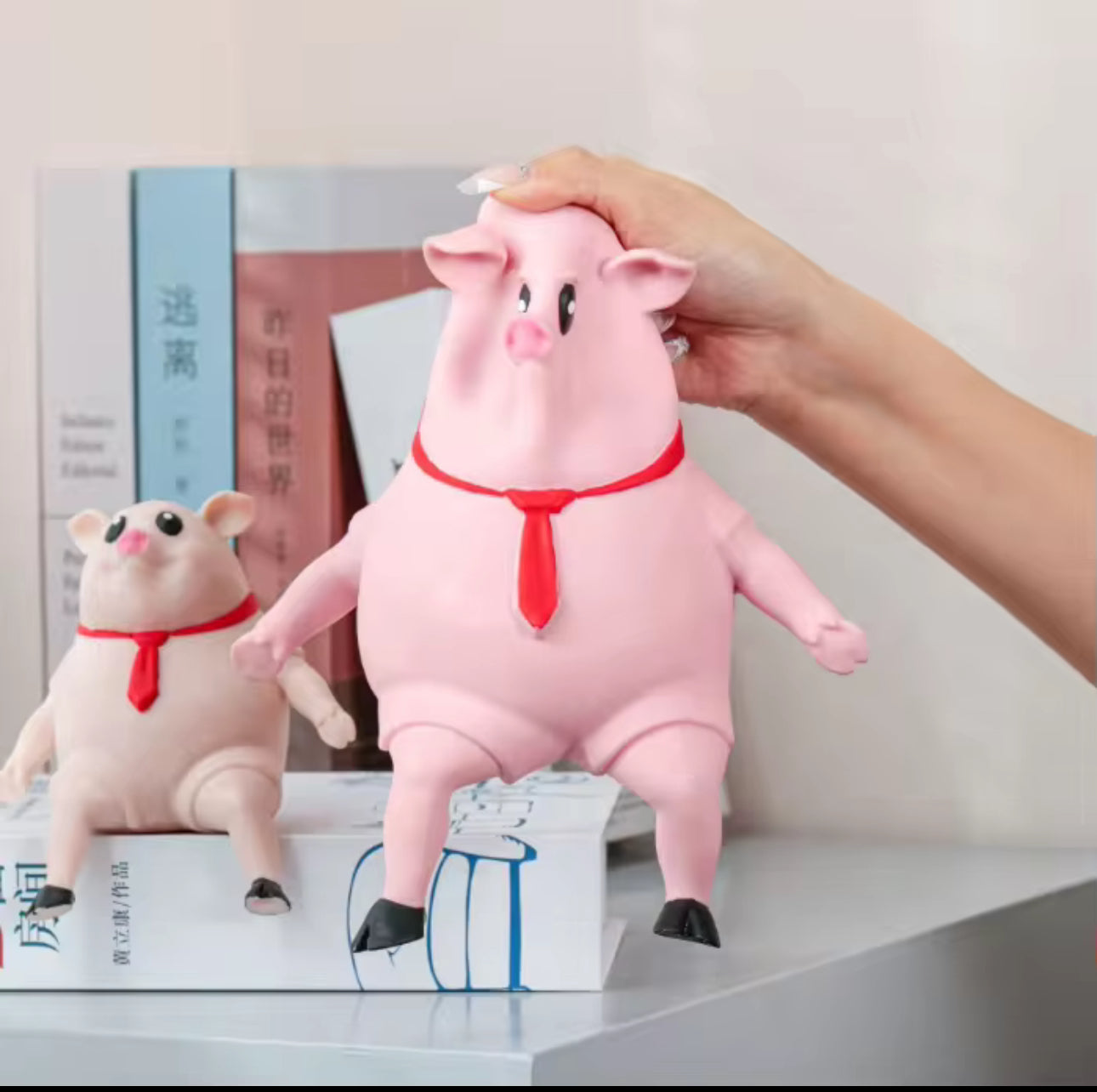 Squishy Piggy