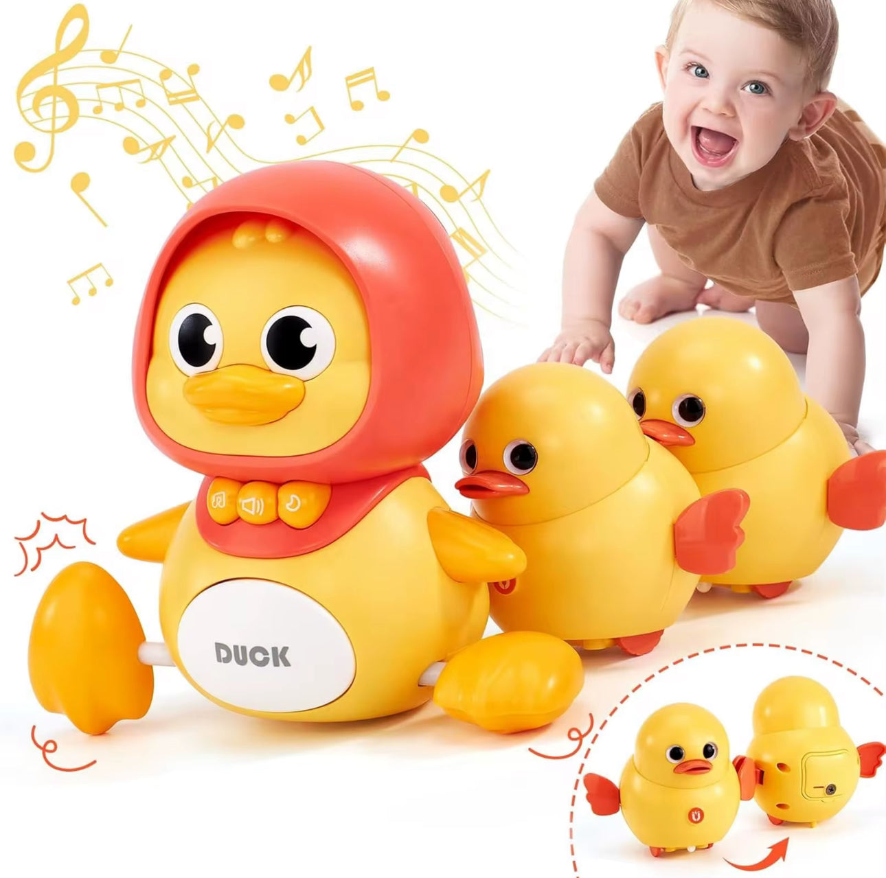Duck Family