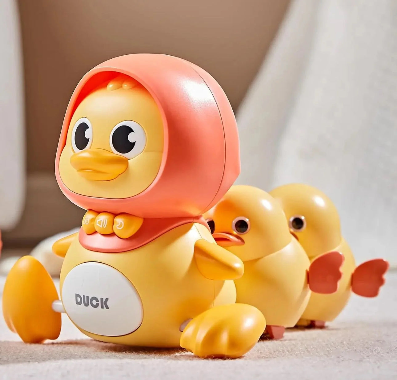 Duck Family