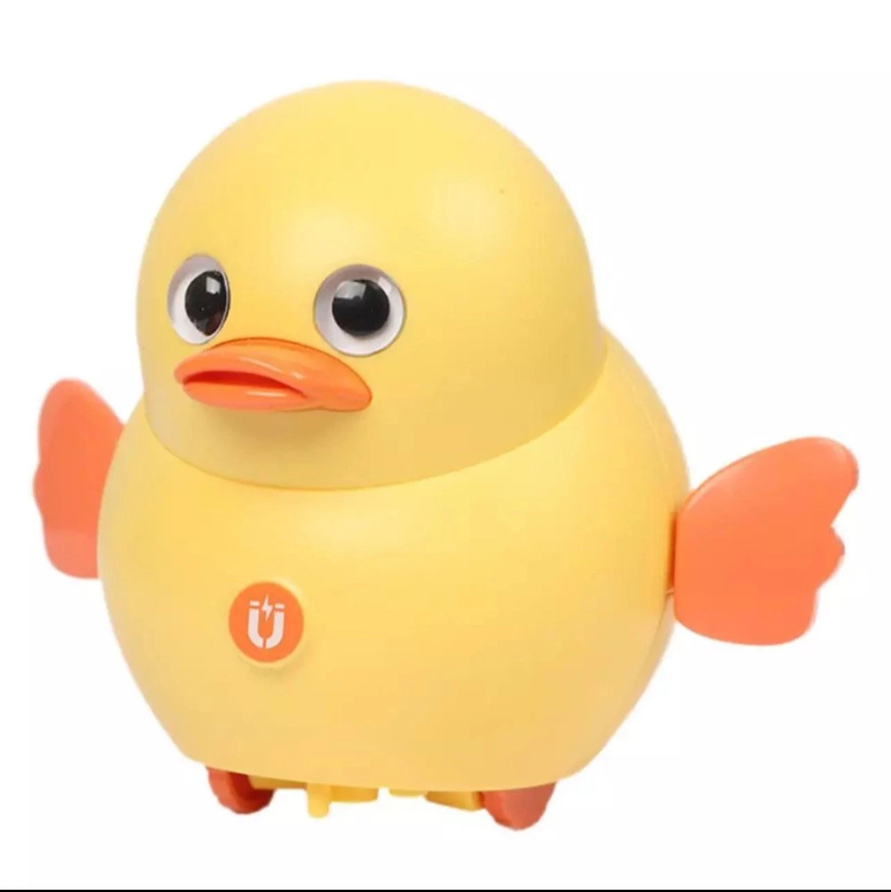 Duck Family