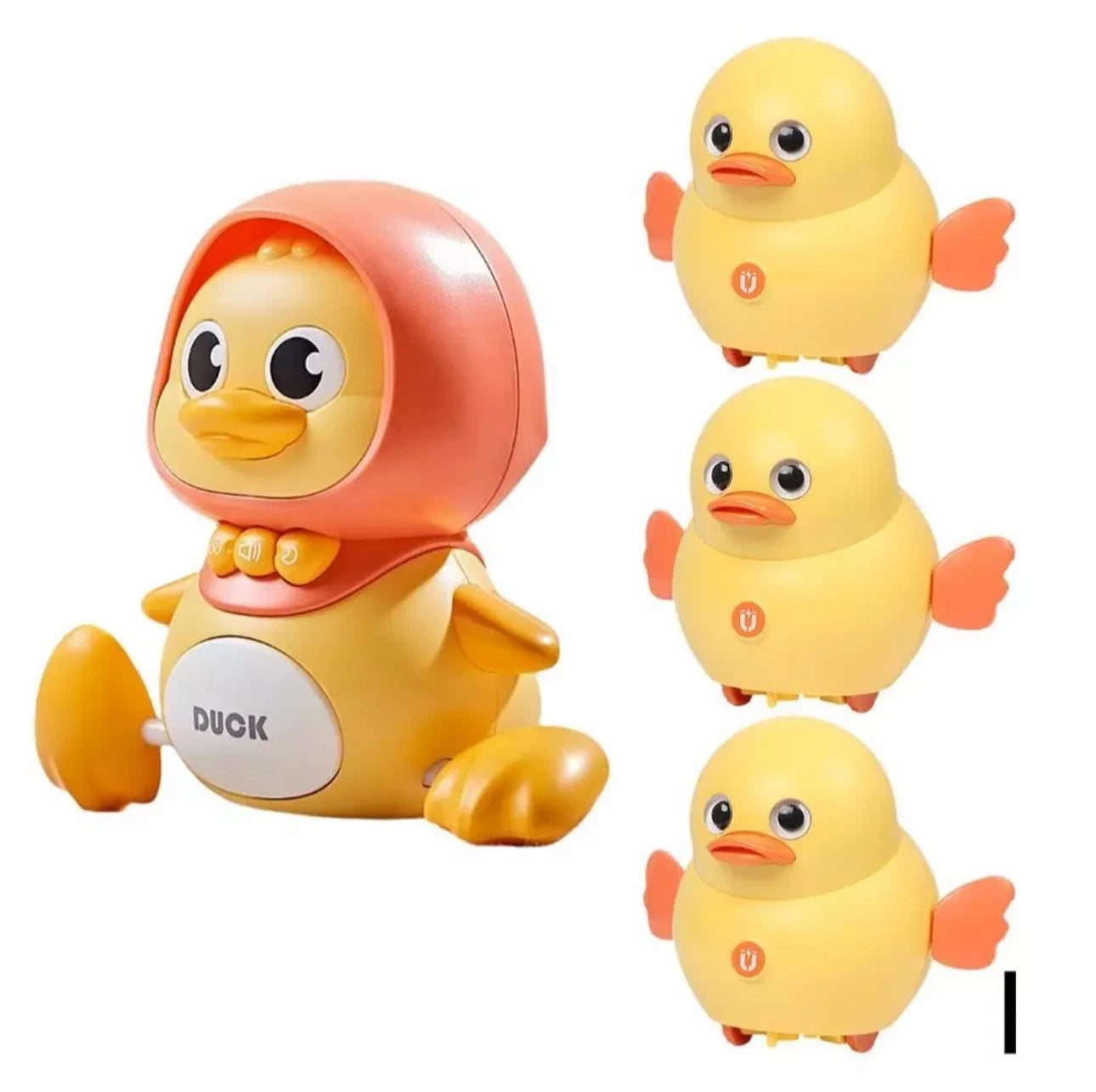Duck Family