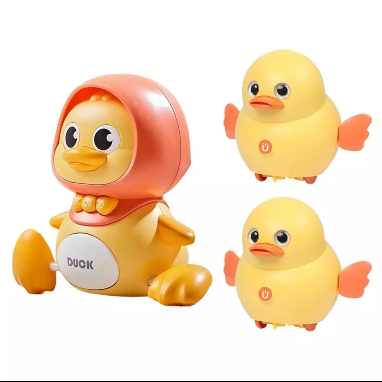 Duck Family