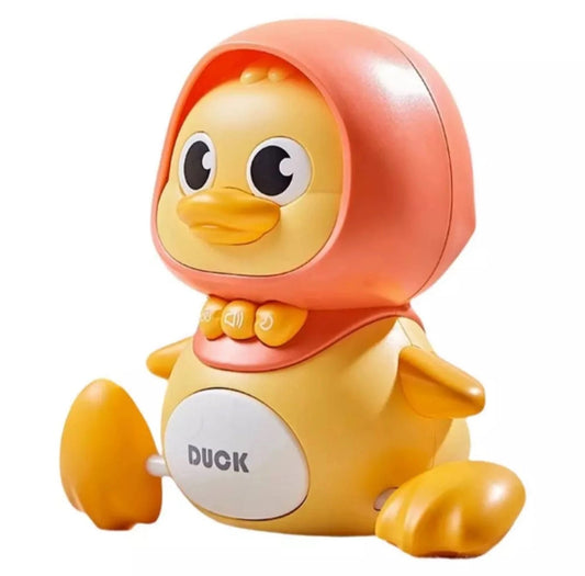 Duck Family