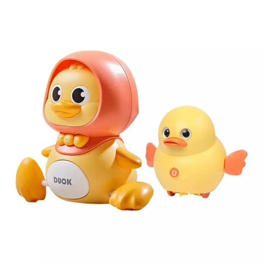 Duck Family